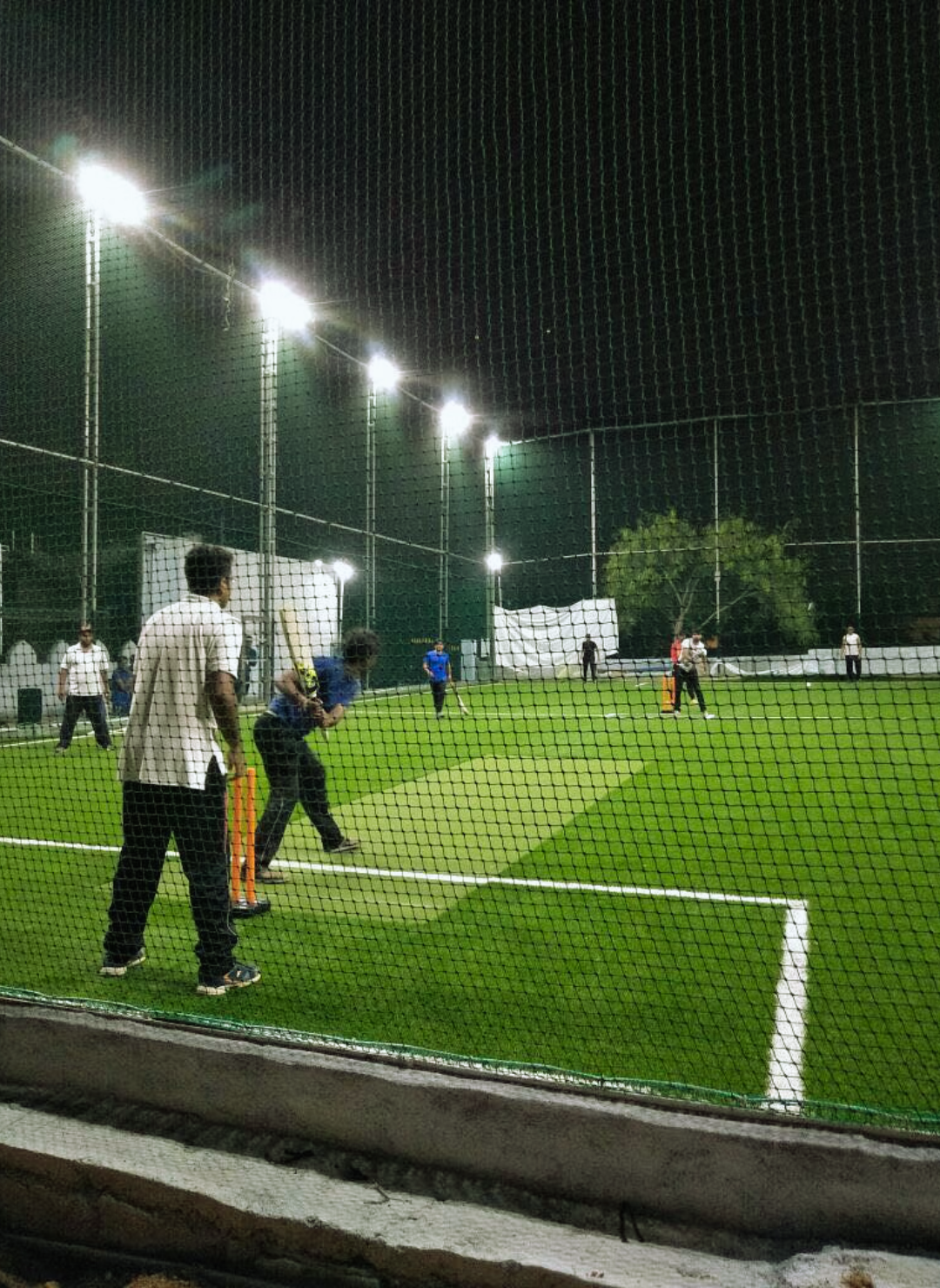 Middle pitch tapara Best box cricket net installation