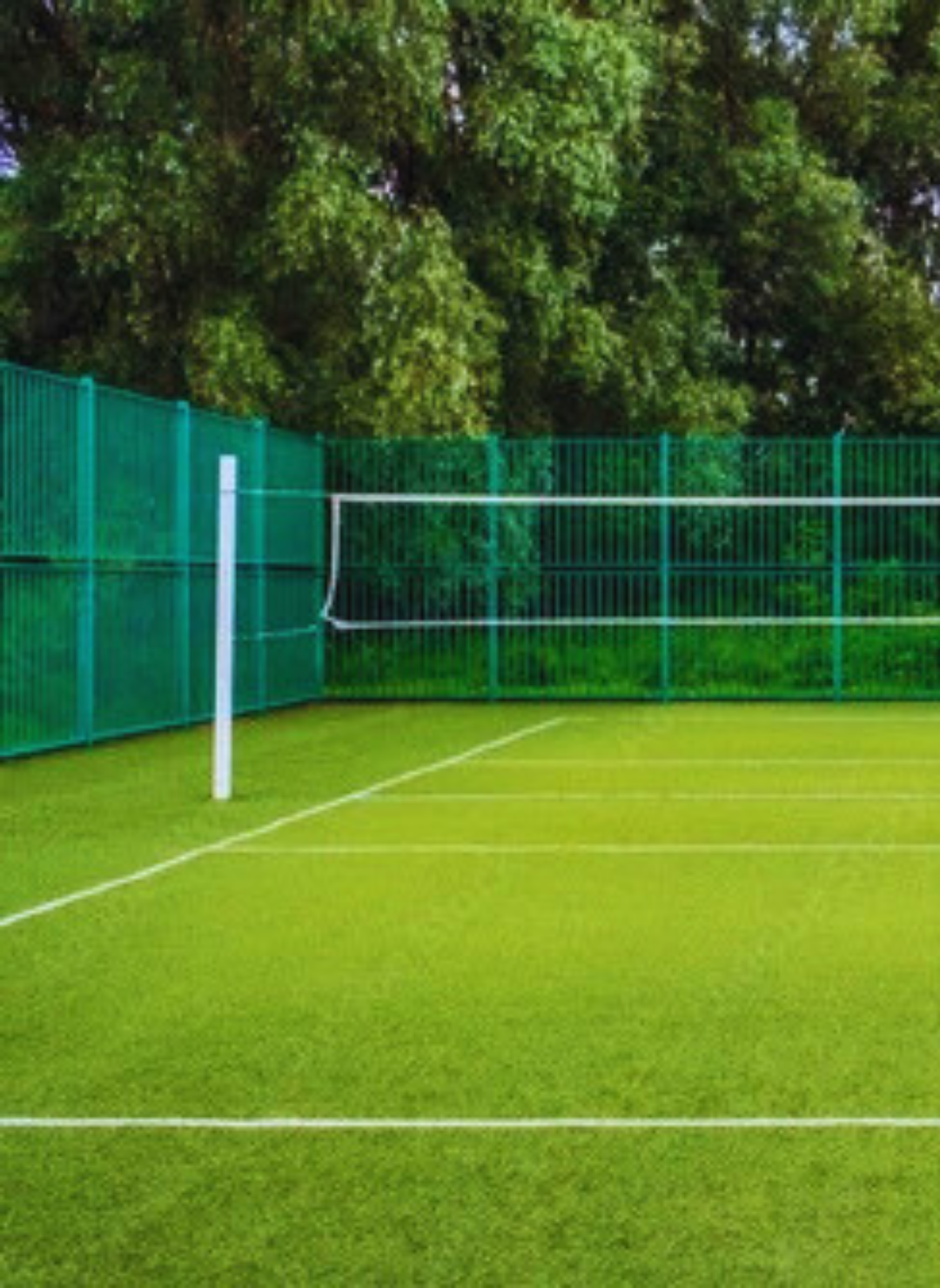 Volleyball Court Design & Setup and Dhanalaxmi Sports Nets